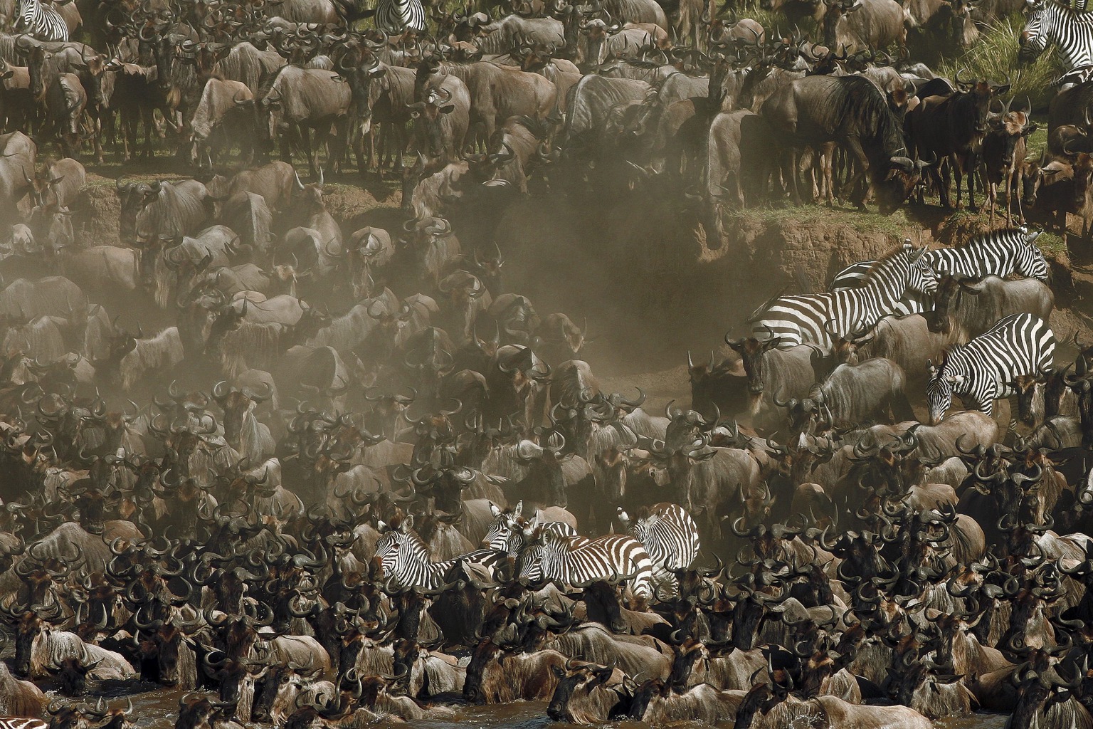 Copyright: Reinhard Radke