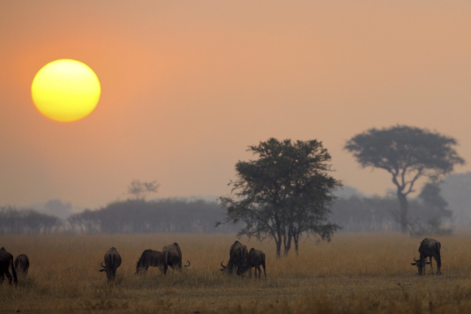 Copyright: Reinhard Radke