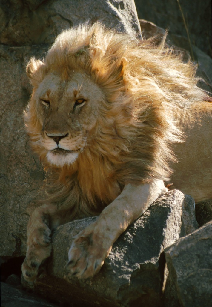 Copyright: Reinhard Radke