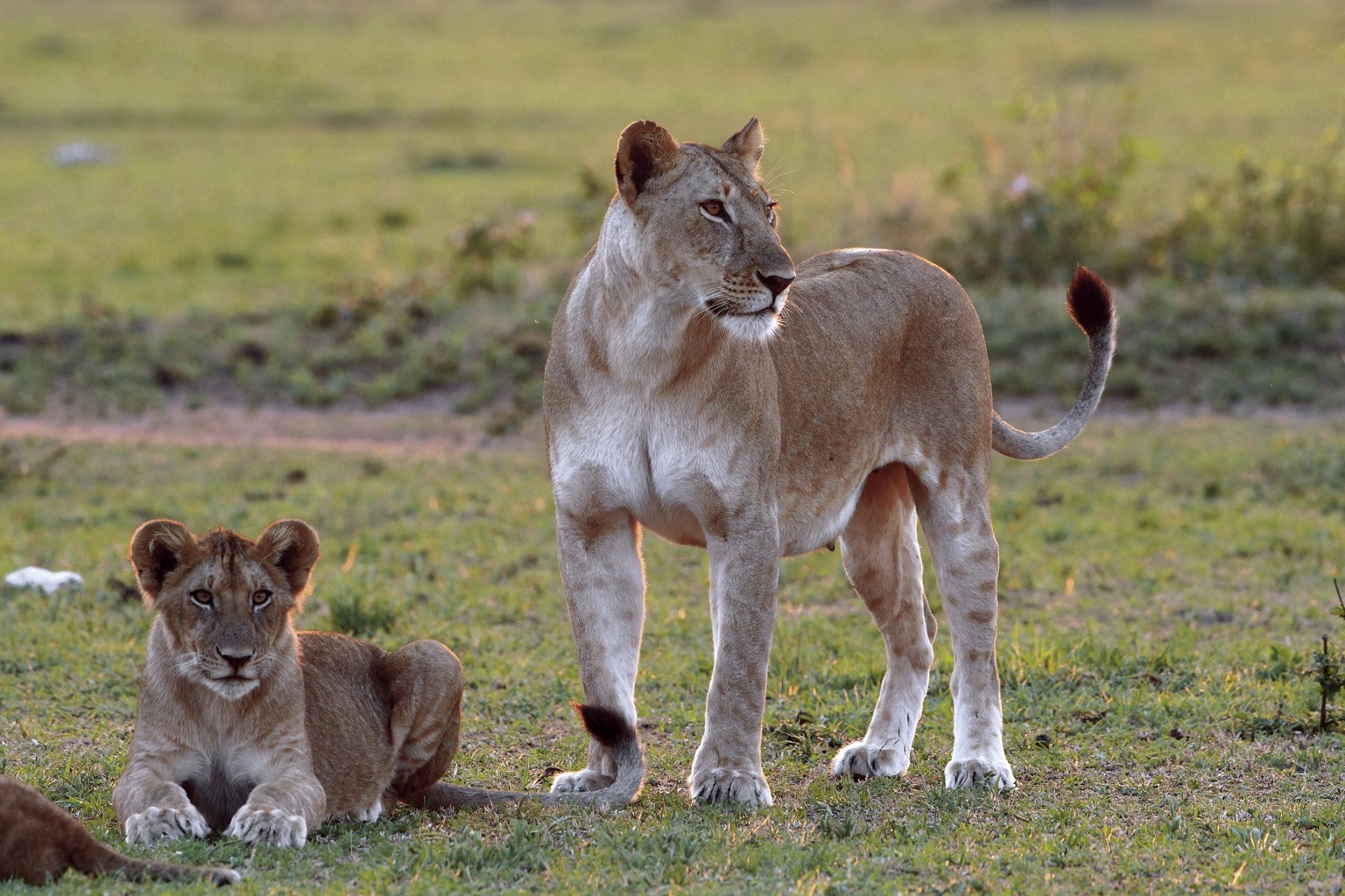 Copyright: Reinhard Radke