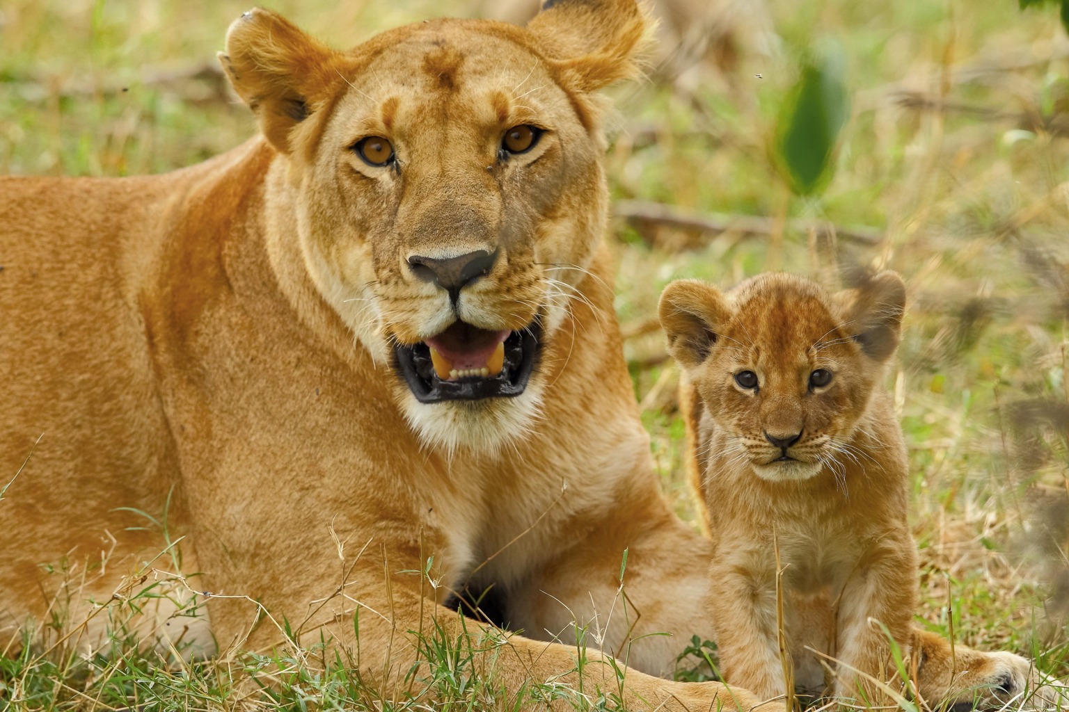 Copyright: Reinhard Radke