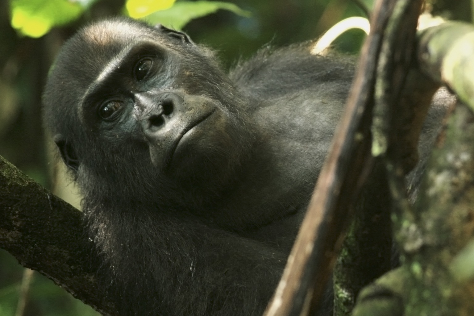 Copyright: Blue Planet Film (Thomas Behrend)/ Christina Karliczek