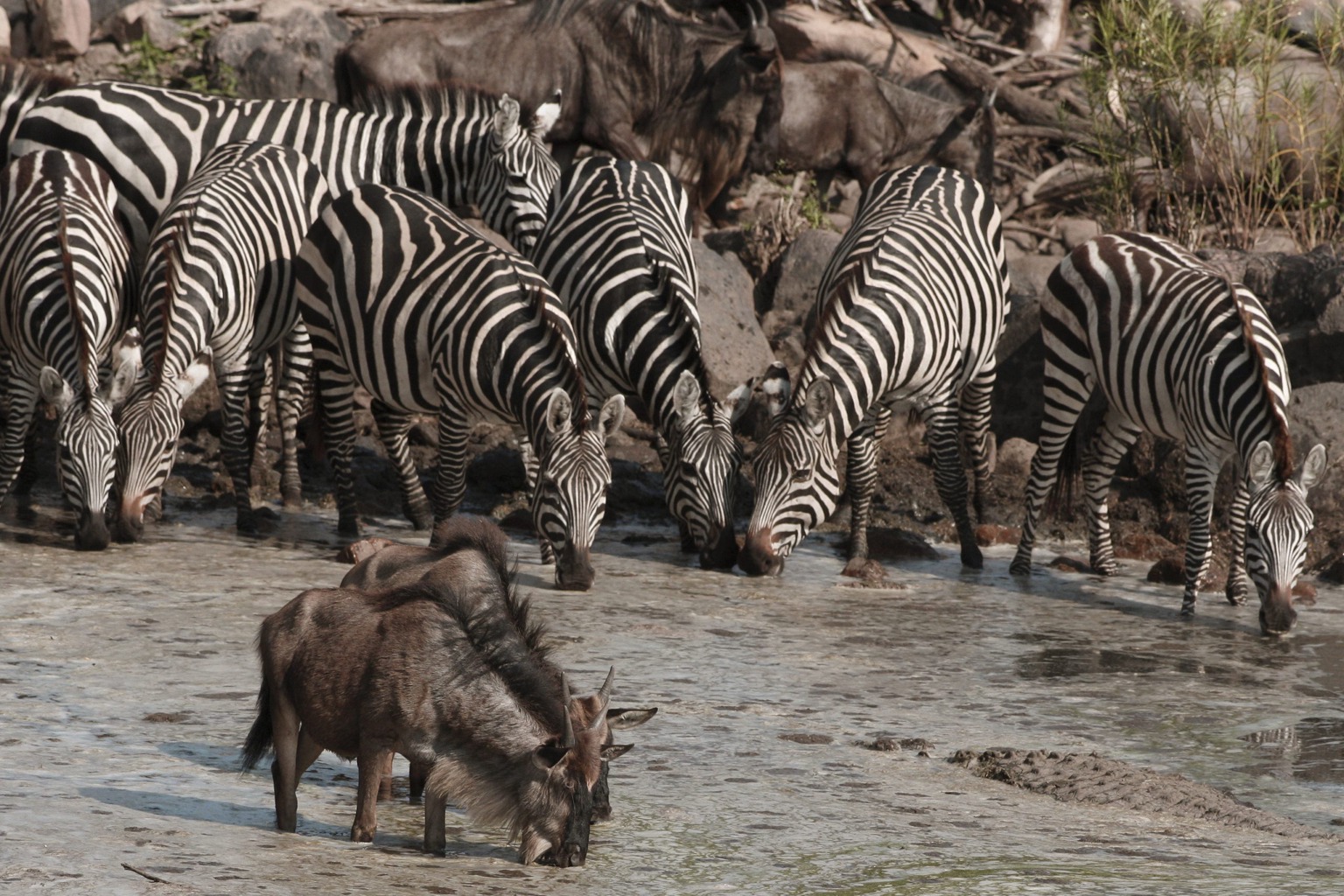 Copyright: Reinhard Radke