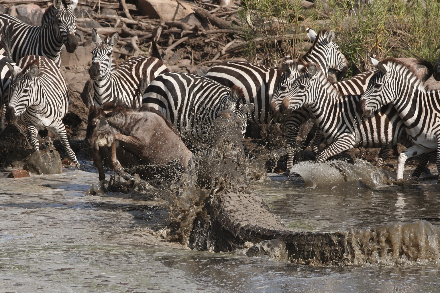 Copyright: Reinhard Radke