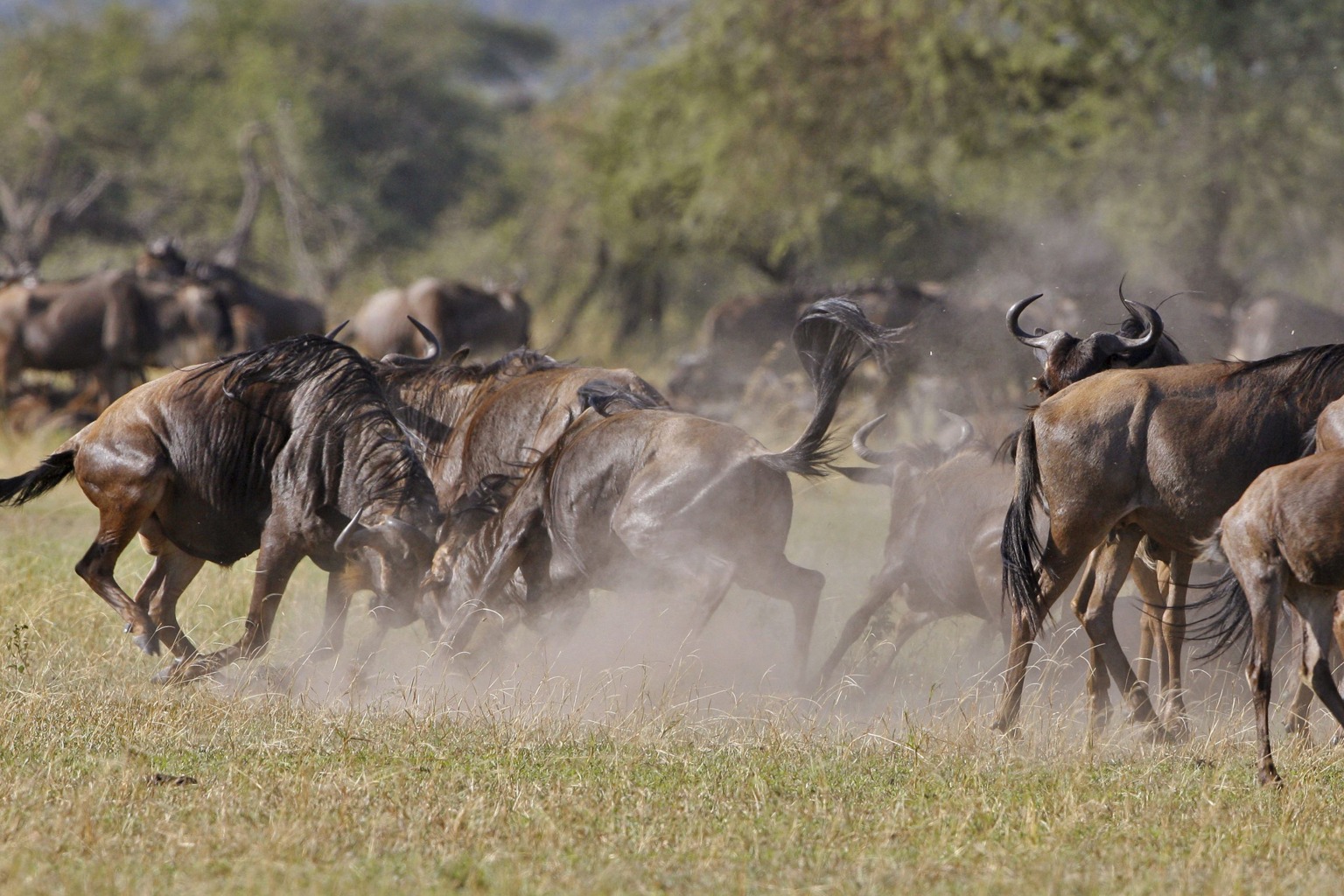 Copyright: Reinhard Radke