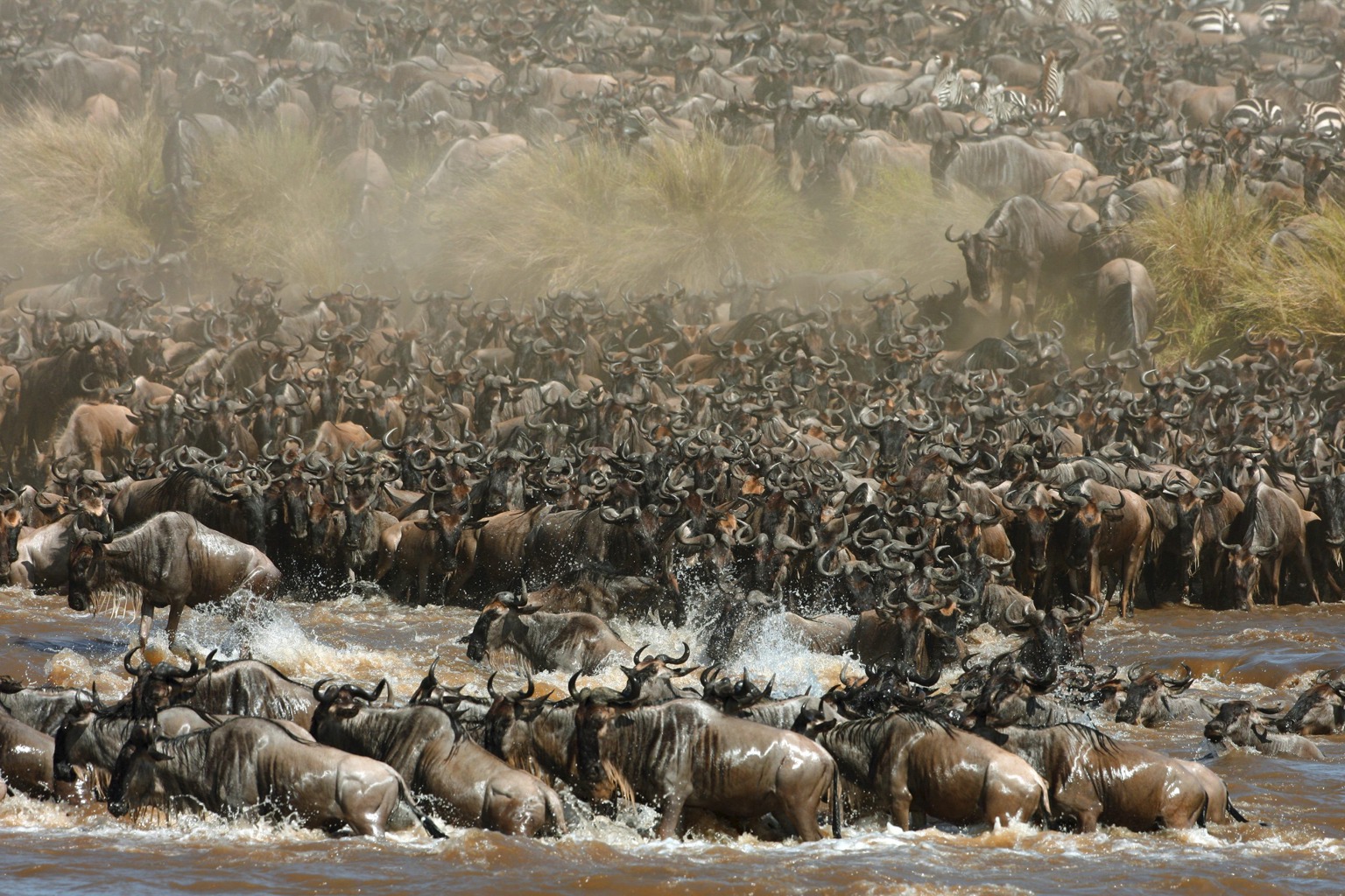 Copyright: Reinhard Radke