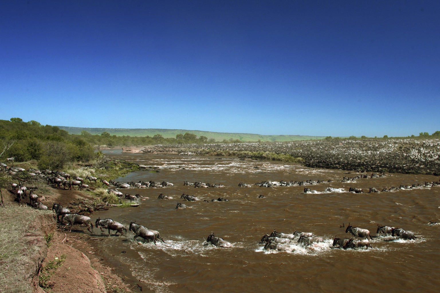 Copyright: Reinhard Radke