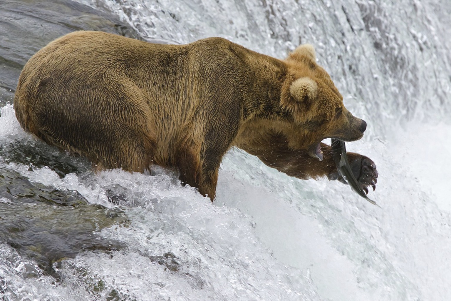 Copyright: Uwe Anders