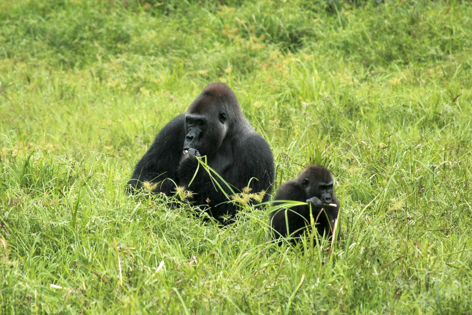 Copyright: Christina Karliczek