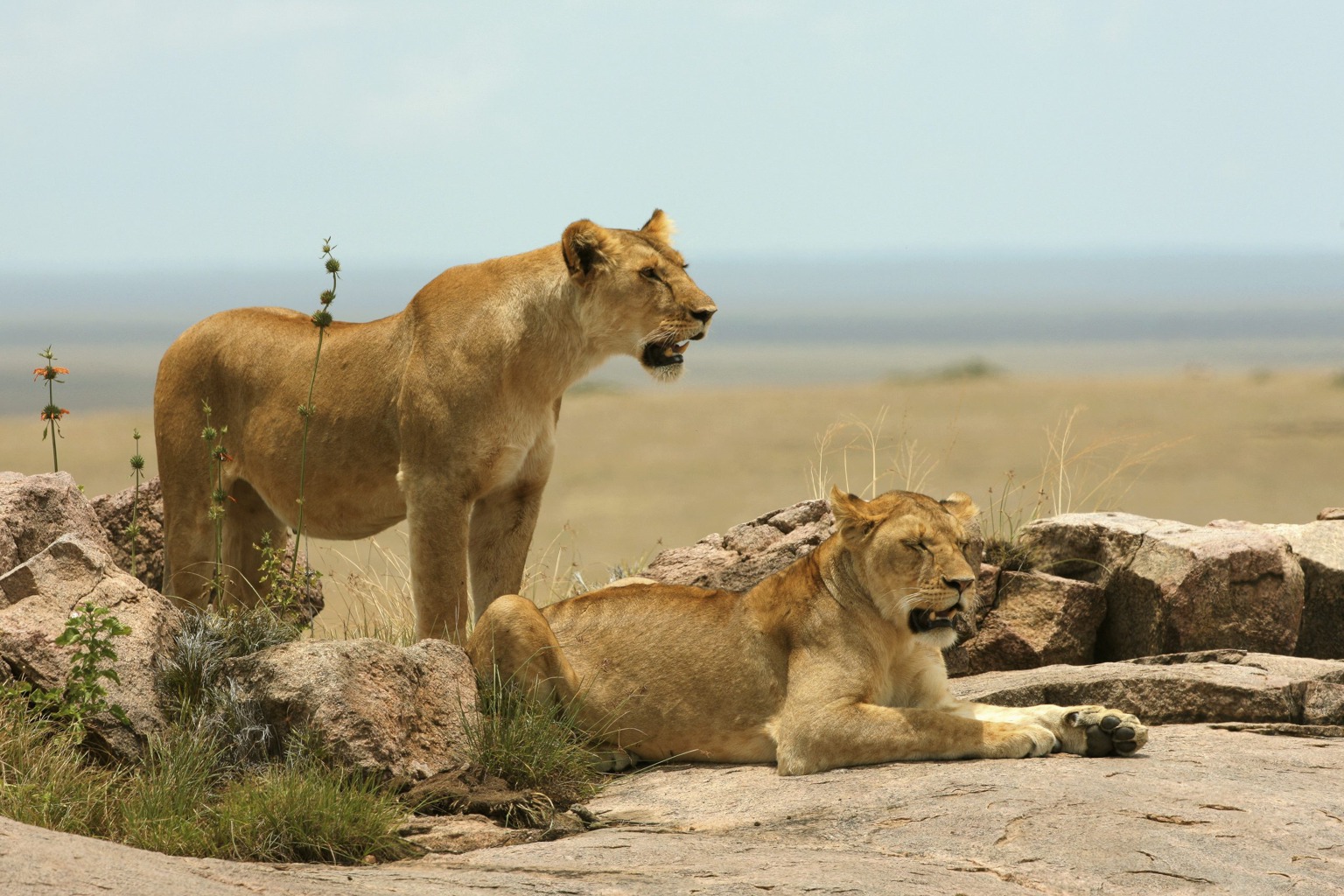 Copyright: Reinhard Radke