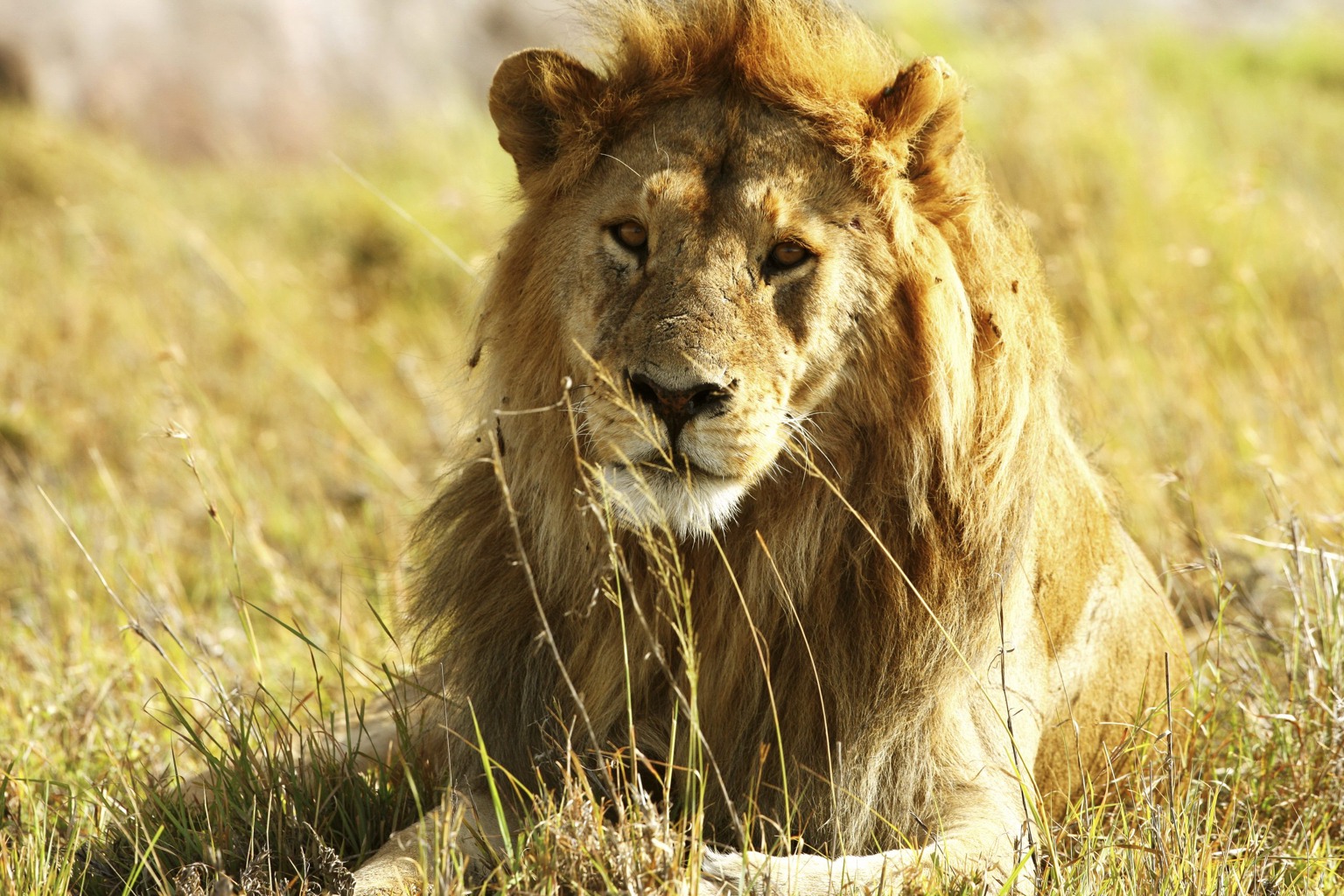 Copyright: Reinhard Radke