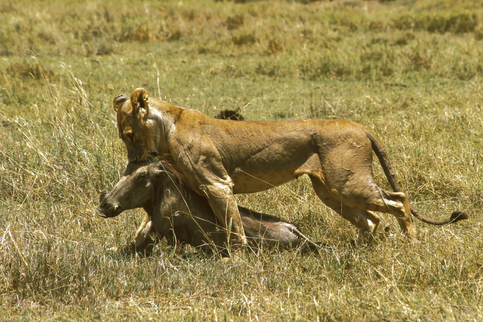 Copyright: Reinhard Radke