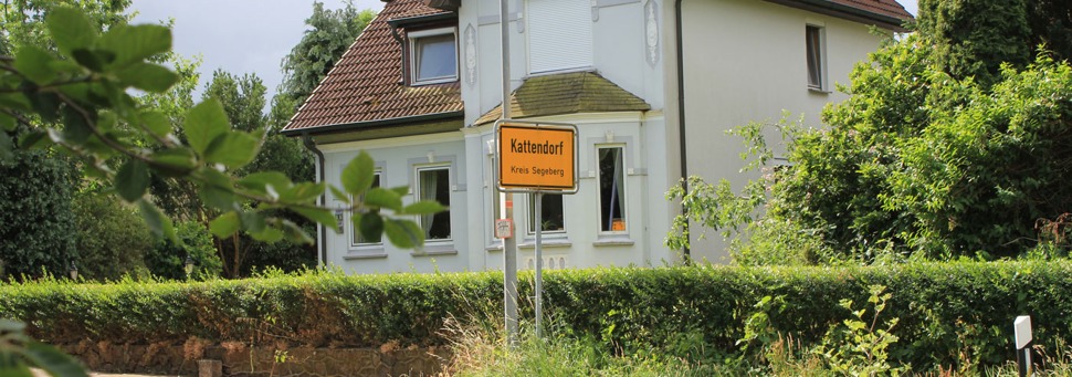 Inas Sommer auf dem Bauernhof