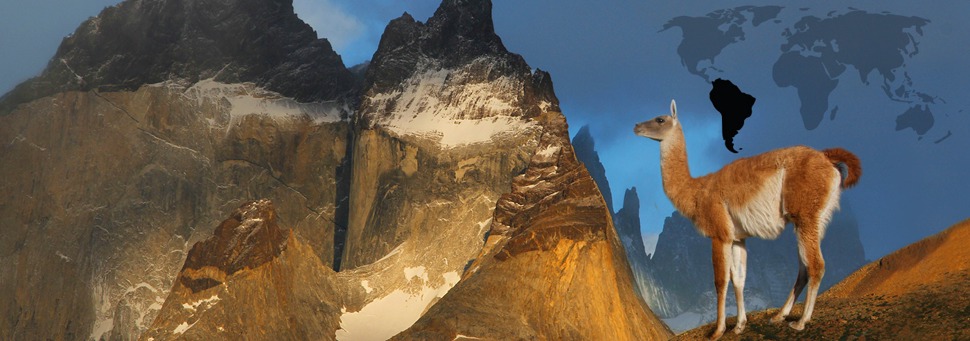 TIERWELT LIVE-Thema „Asien“ - Vorschaubild: Vikunja vor einem Bergpanorama