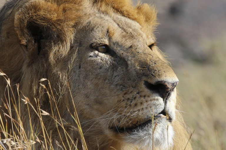 Copyright: Reinhard Radke