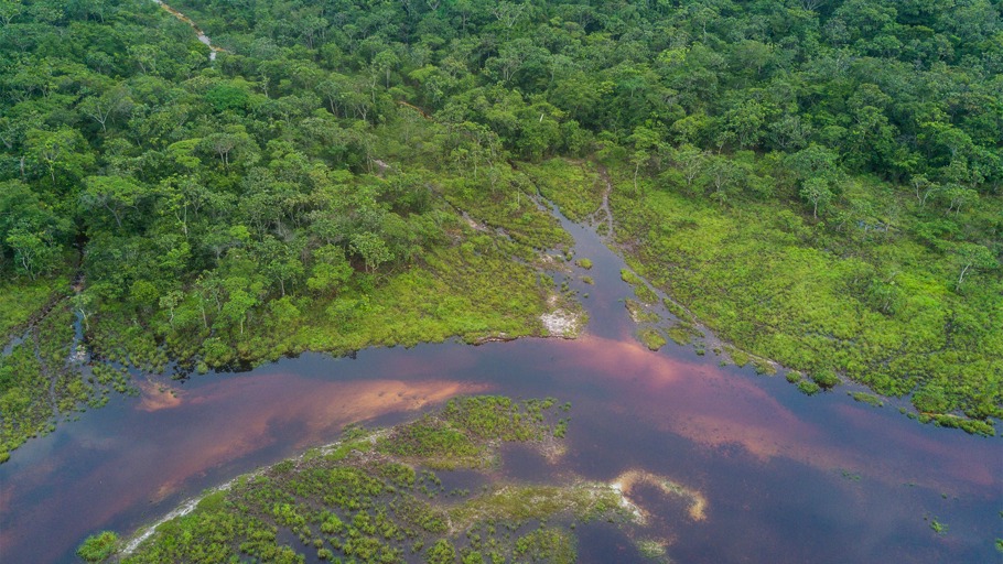 Kongo: Weltwunder Salonga