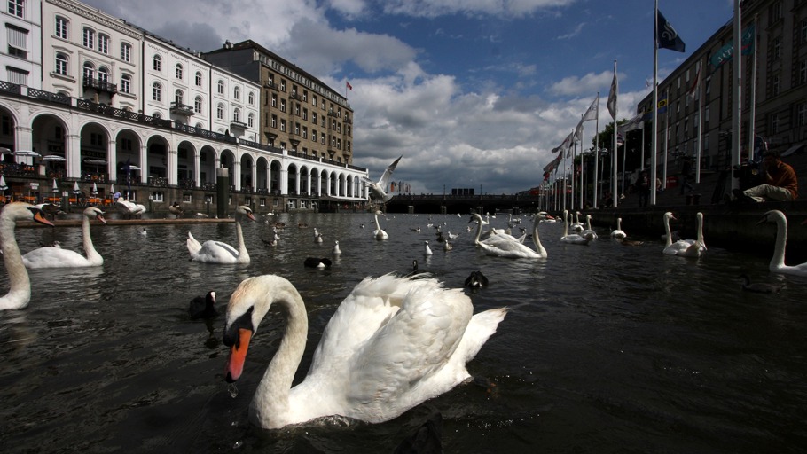 Jens Westphalen, Thoralf Grospitz/ NDR Naturfilm, Doclights GmbH