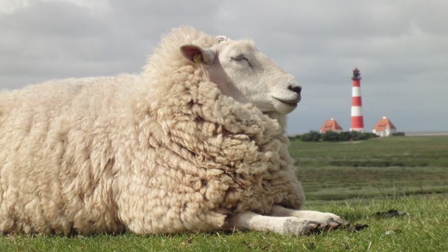 Wilde Ostern - Das Ei ist nur der Anfang