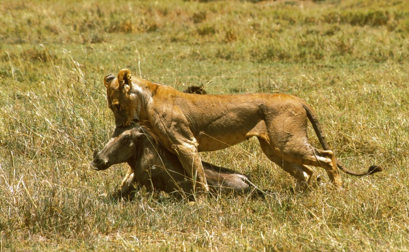 Copyright: Reinhard Radke