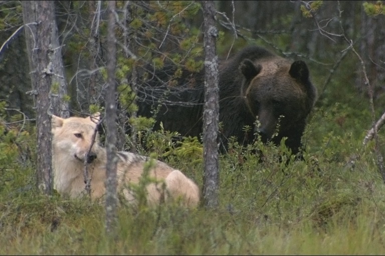 Copyright: Oliver Goetzl, Ivo Noerenberg