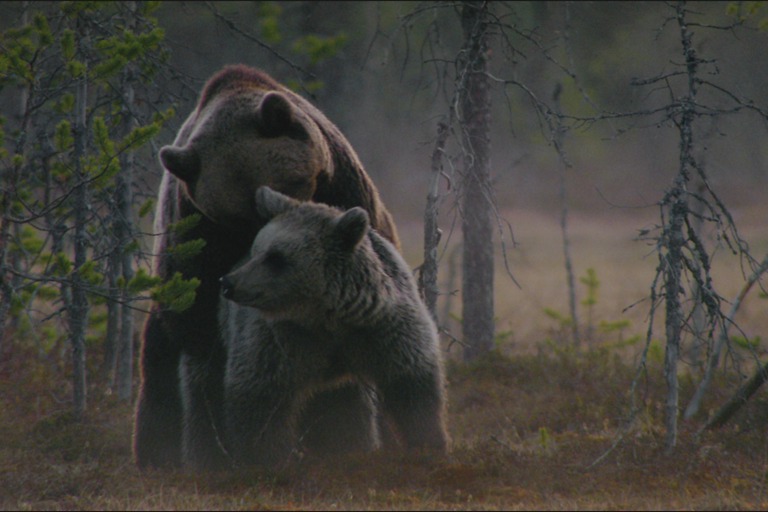 Copyright: Oliver Goetzl, Ivo Noerenberg