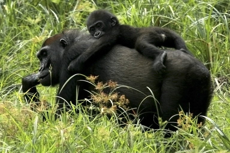 Copyright: Blue Planet Film (Thomas Behrend)/ Christina Karliczek