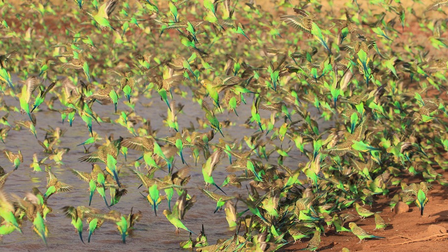 Australiens Naturwunder