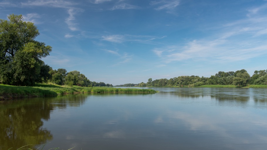 Die Elbe: Ein Fluss kämpft um seine Auen