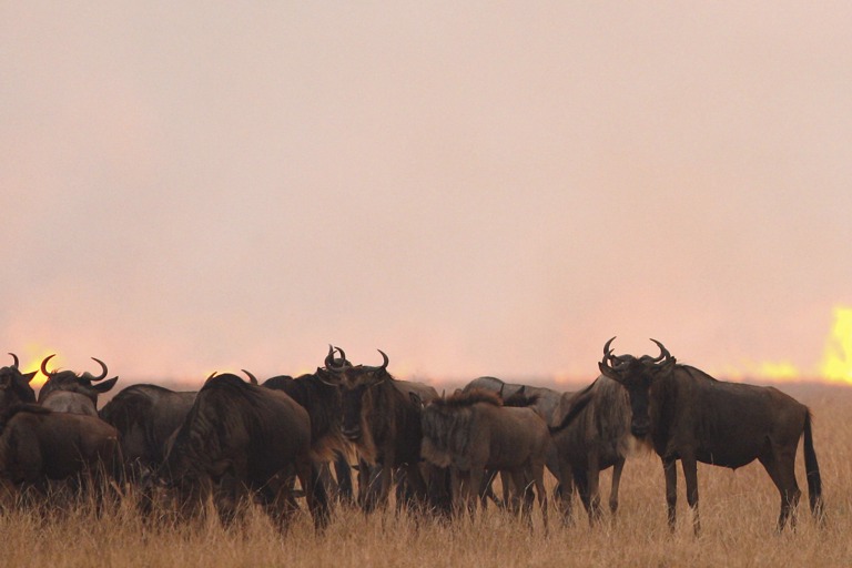 Copyright: Reinhard Radke