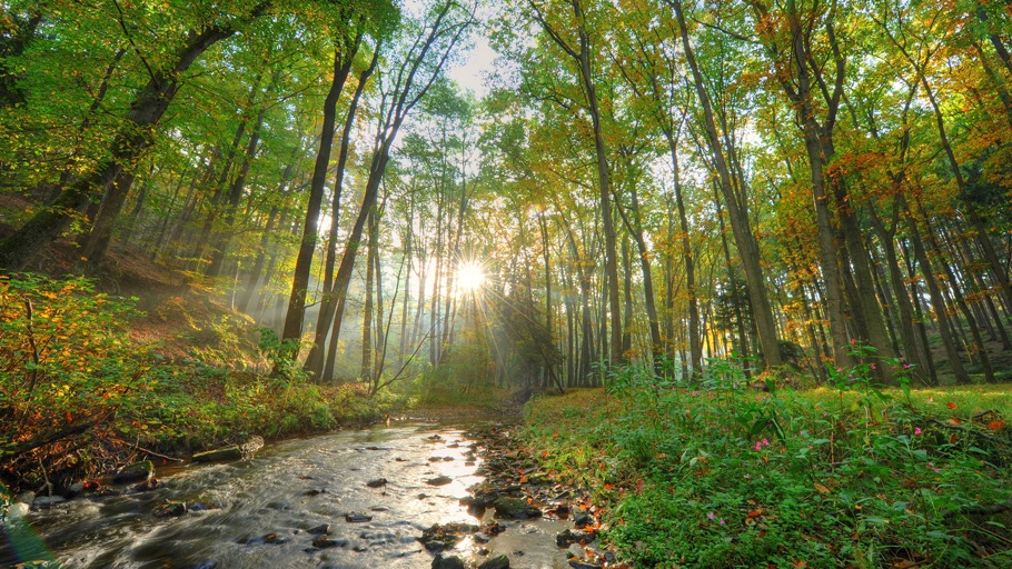 Die vier Jahreszeiten