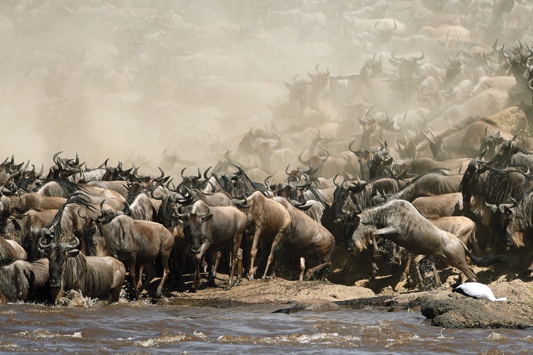 Copyright: Reinhard Radke