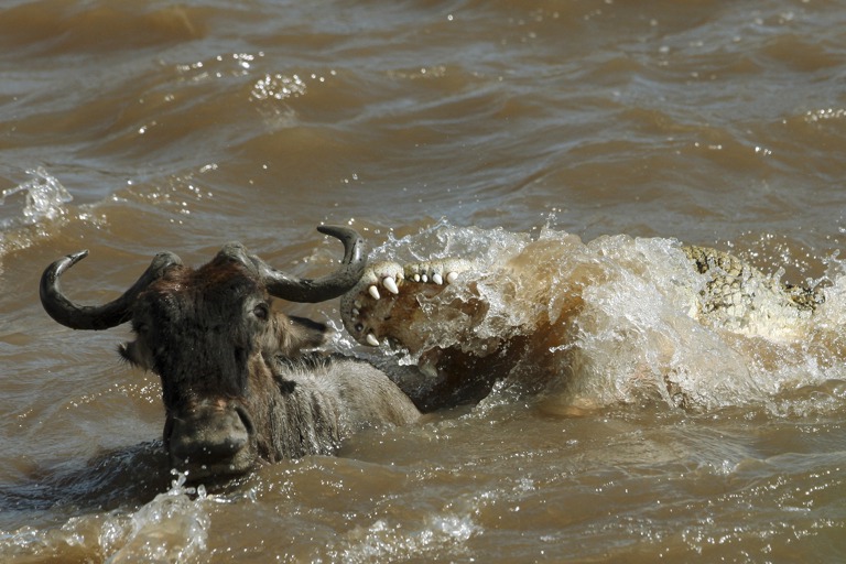 Copyright: Reinhard Radke