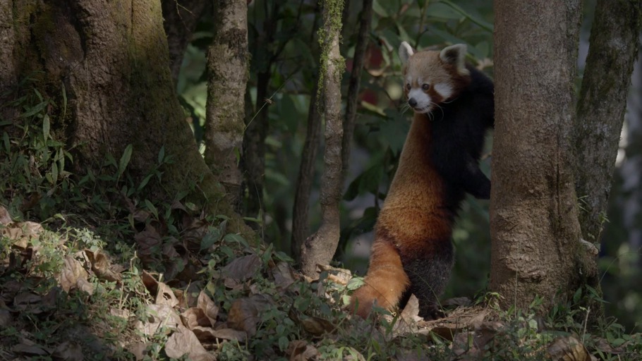 #6: Was gerade passiert