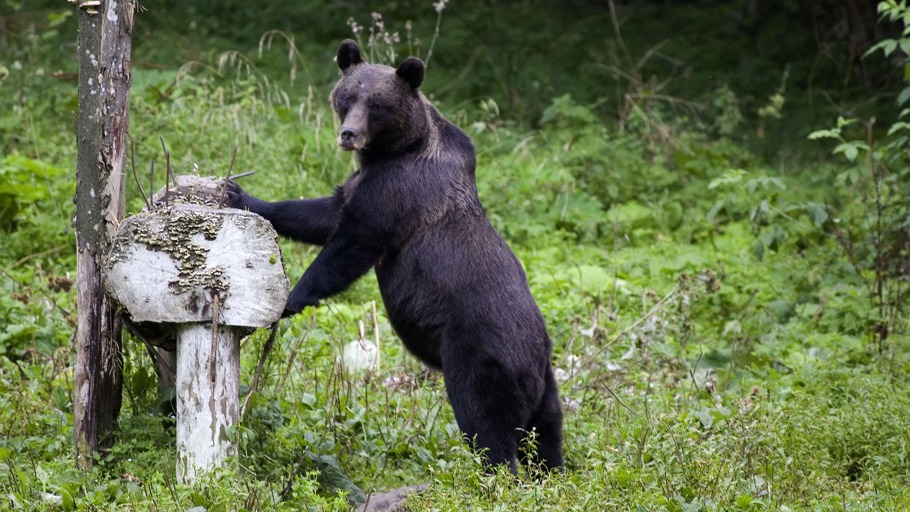 Leben und leben lassen