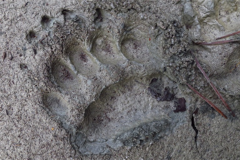 Copyright: Uwe Anders