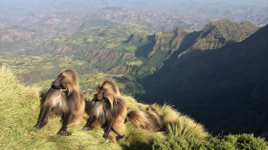 Bergwelten - Pforten zum Himmel