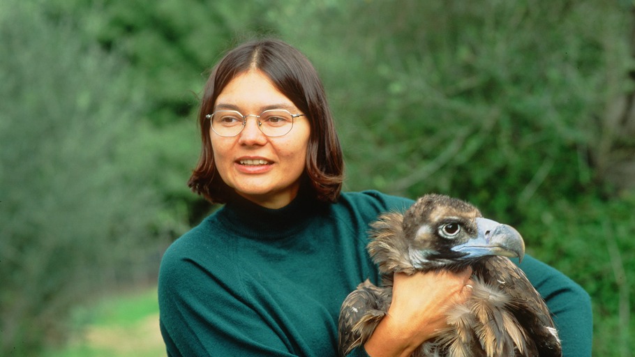 Fundacion para la conservacion del Buitre Negro (BVCF)