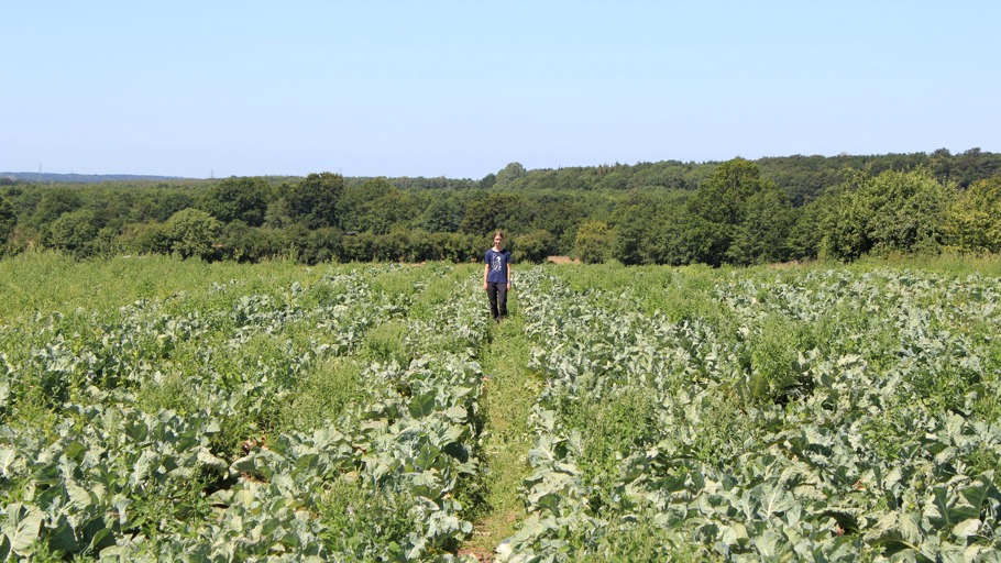 Inas Sommer: Folge 08