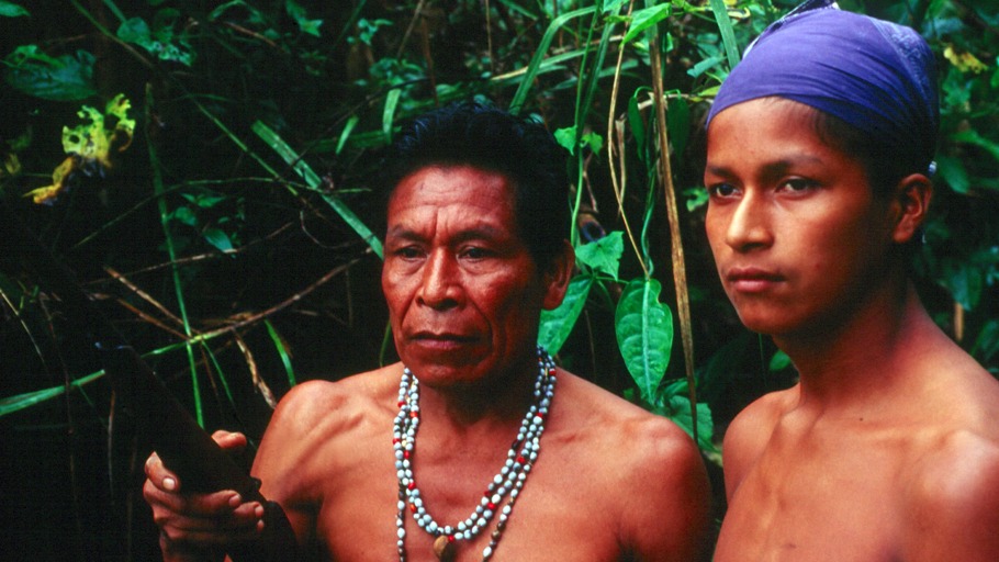 Das Geheimnis des Jaguars