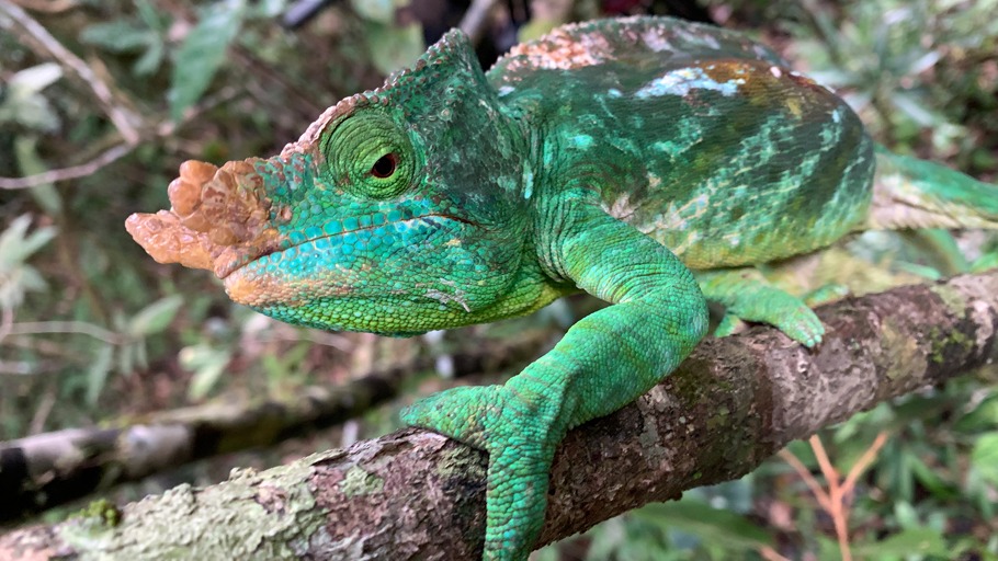 Geheimnisse der Inseln - Zuflucht im Ozean