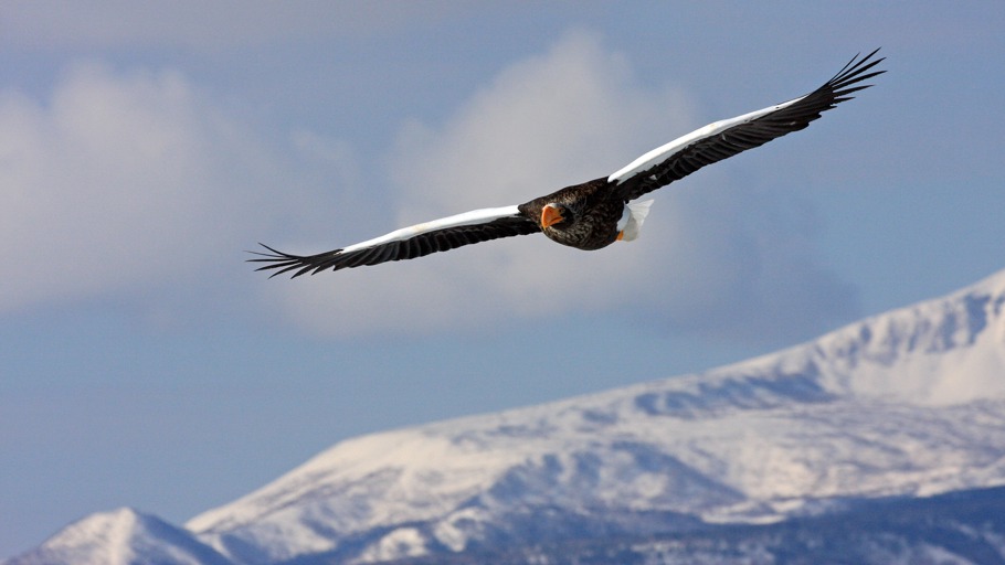 WildesJapanTeil1Foto11