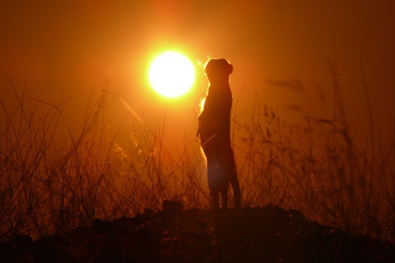 Copyright: Telse Meyer, Dirk Blumenberg