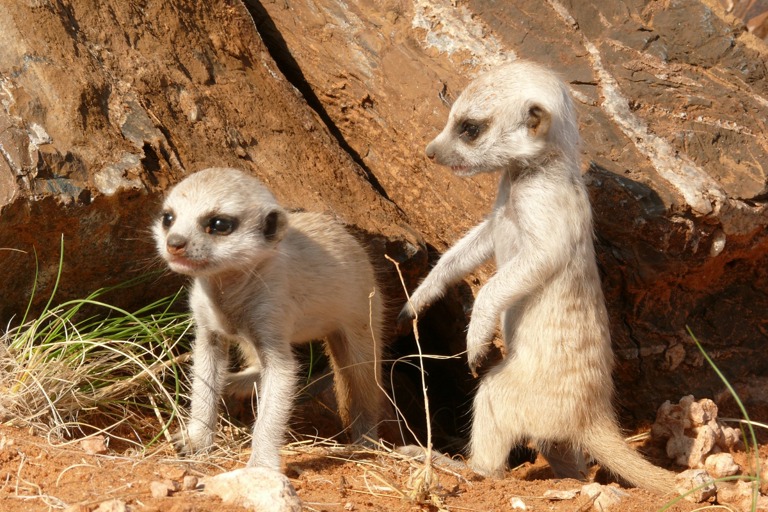 Copyright: Telse Meyer, Dirk Blumenberg