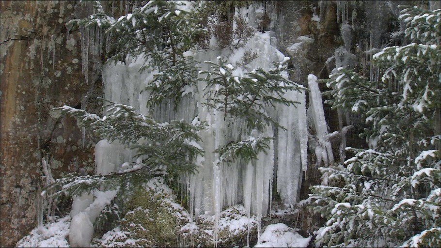 Zwölf Monate Natur - Februar
