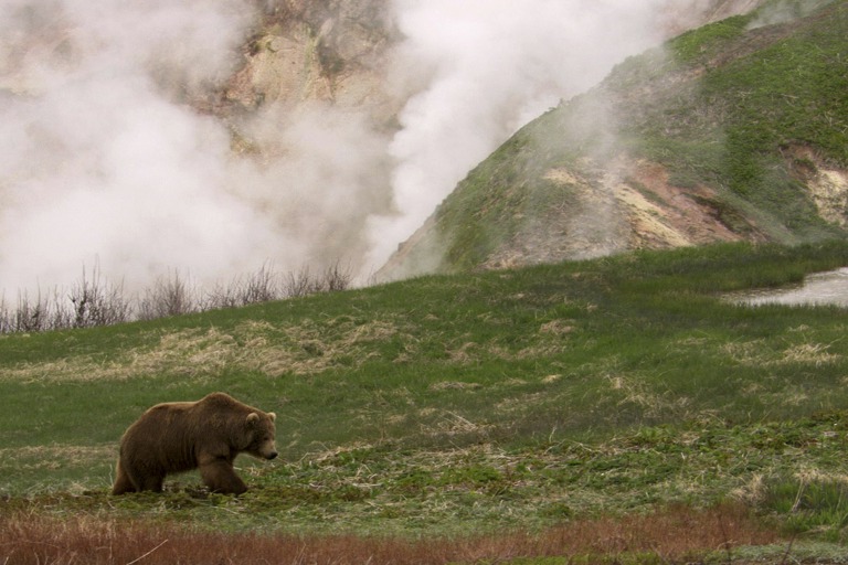 Copyright: ? Christian Baumeister/ Yann Sochaczewski