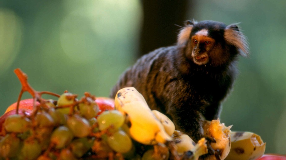 Light and Shadow GmbH