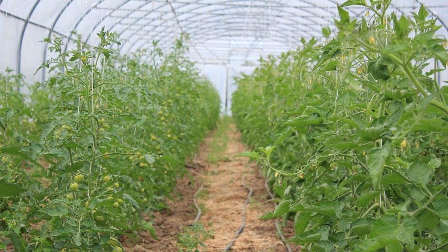 Inas Sommer: Folge 10