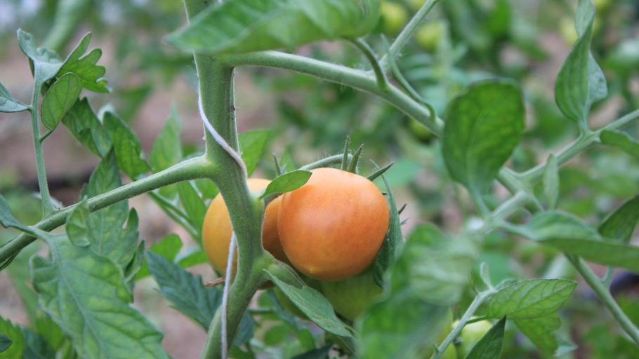 Inas Sommer: Folge 12