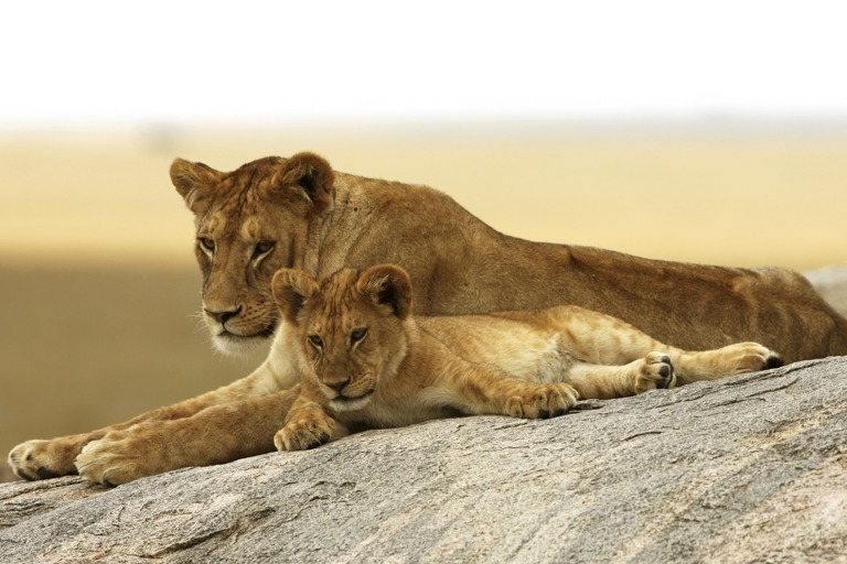 Copyright: Reinhard Radke