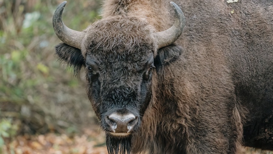 Der lange Weg zur Freiheit